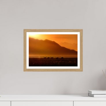 15 x 10″, S+M Oak Frame + Border PROCESSION OF LIGHT