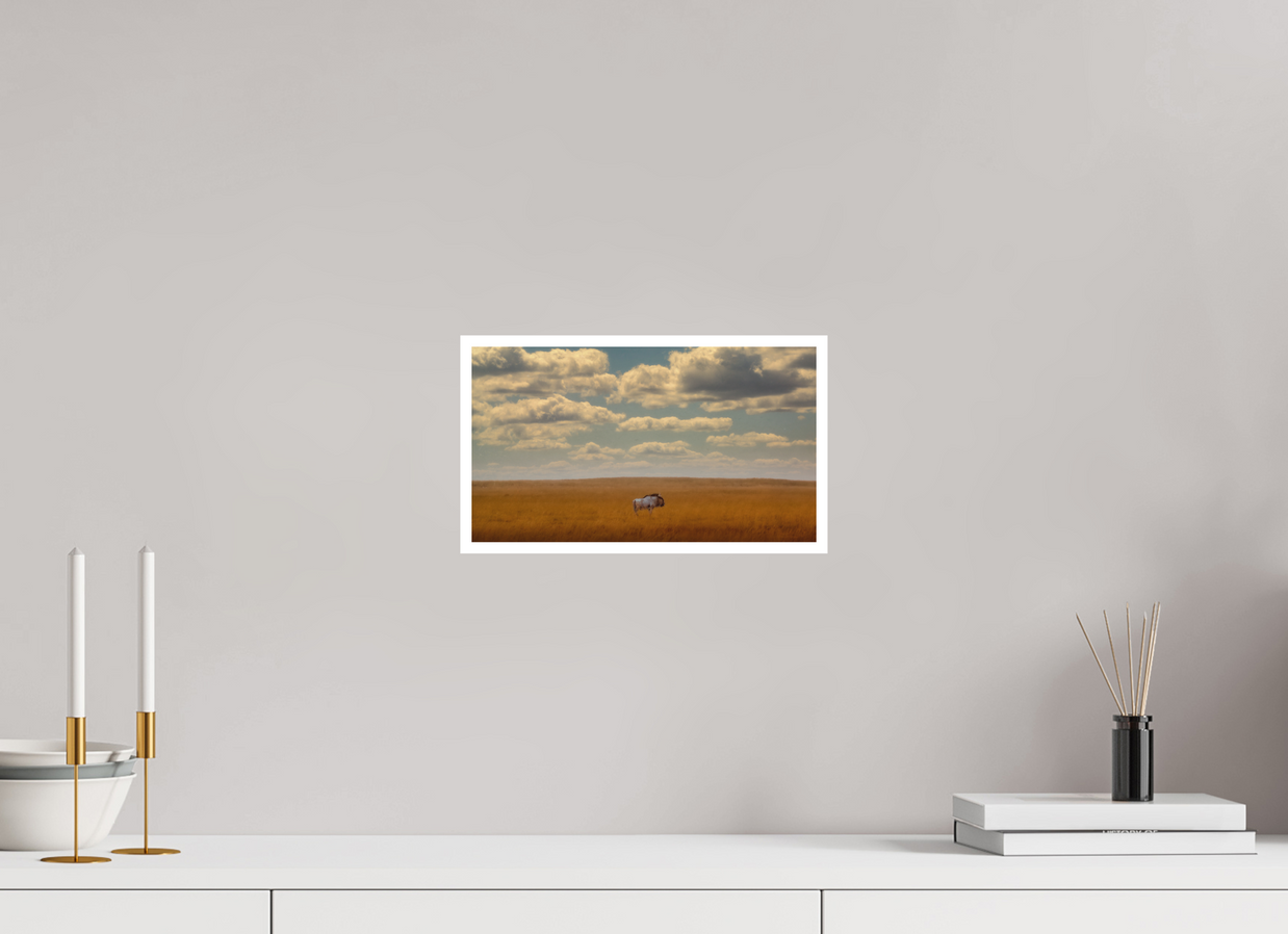 12 x 6.8″, S Print FREEDOM OF EXPOSURE