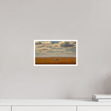 12 x 6.8″, S Print FREEDOM OF EXPOSURE