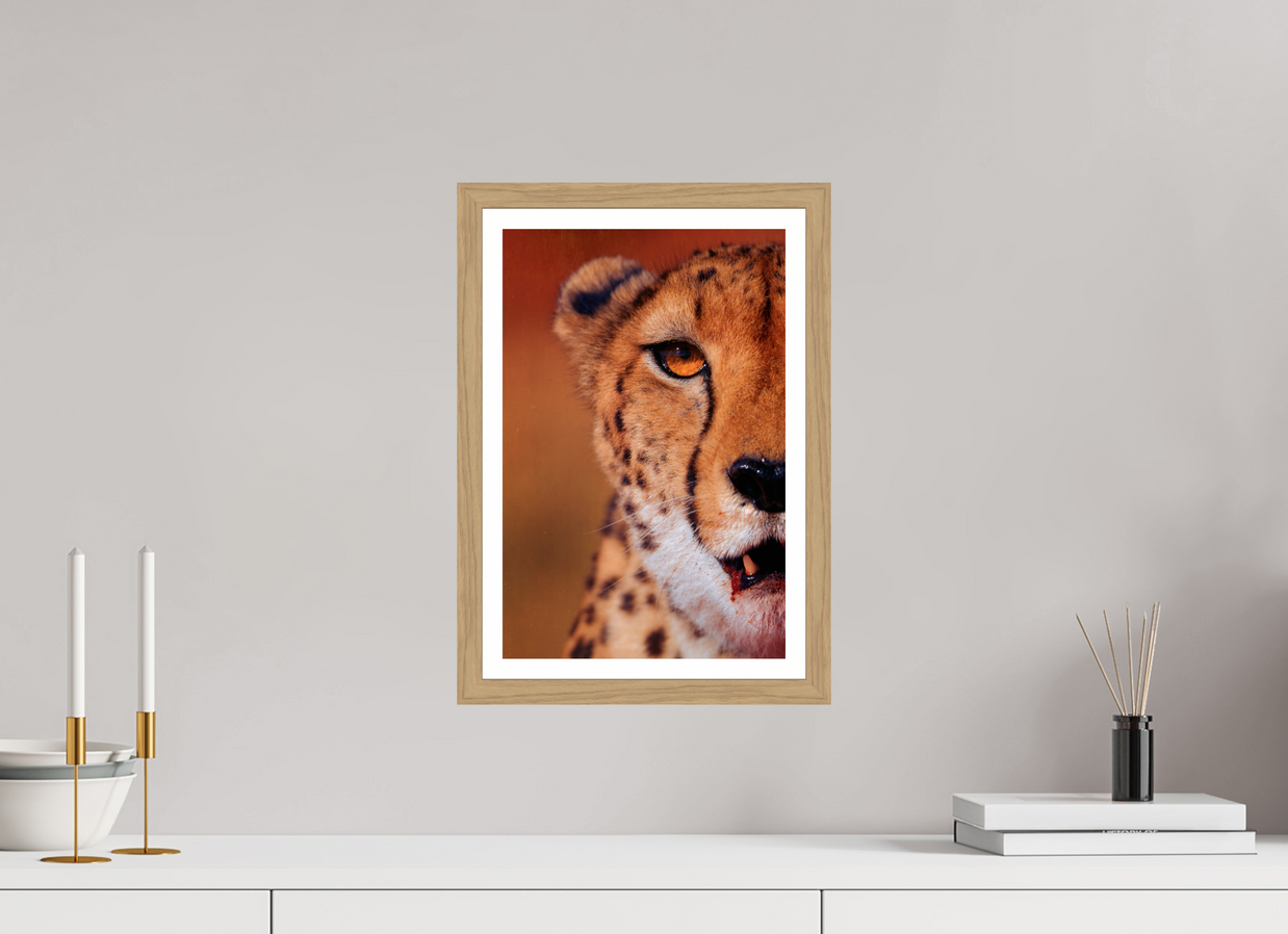 10 x 15″, S+M Oak Frame + Border AS IT IS