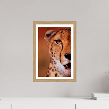 10 x 15″, S+M Oak Frame + Border AS IT IS