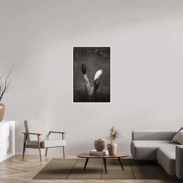 30 x 45″, L+XL White Floater Frame TWO TRUTHS