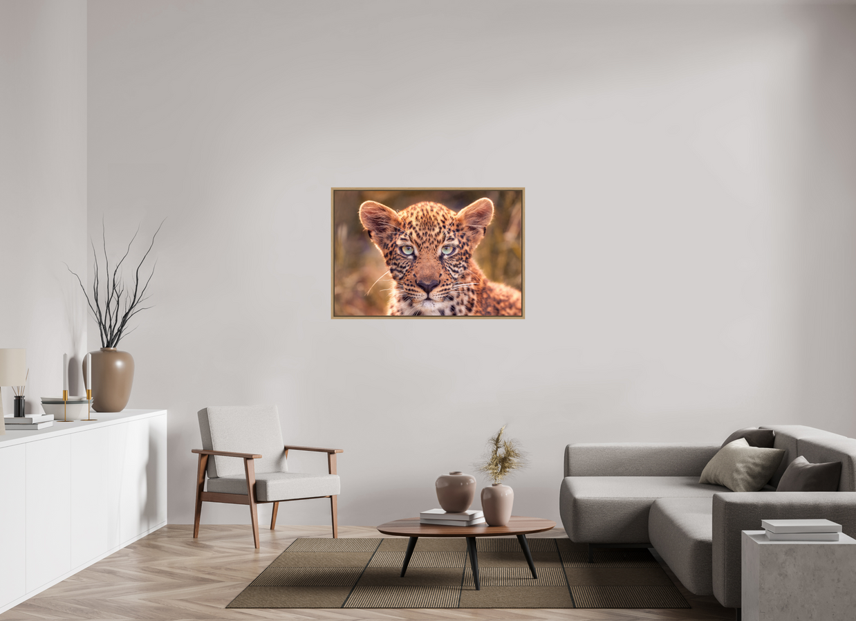 45 x 30″, L+XL Oak Floater Frame SEEN