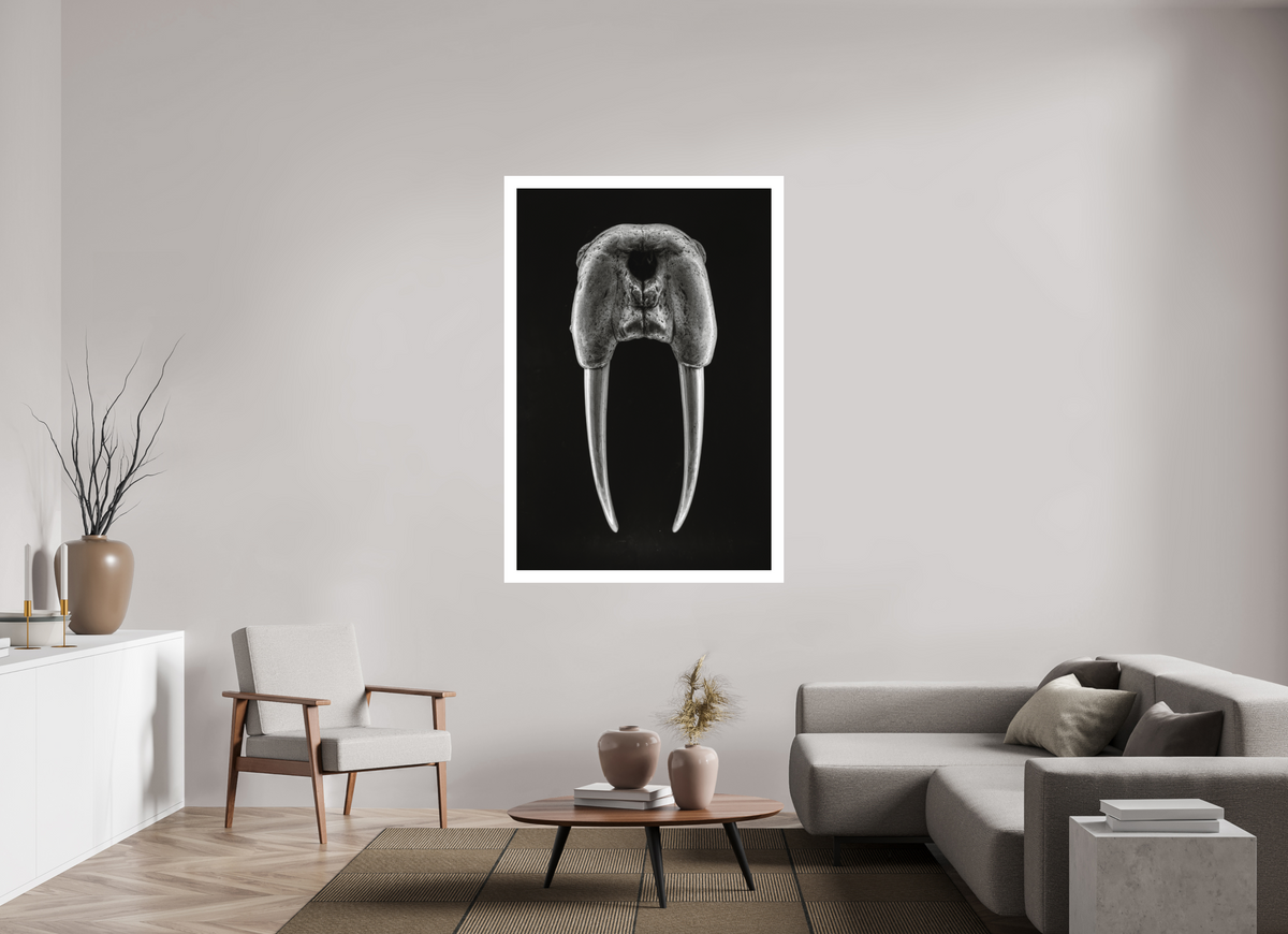 40 x 60″, XL + Exhibition Print DENTAL PLAN