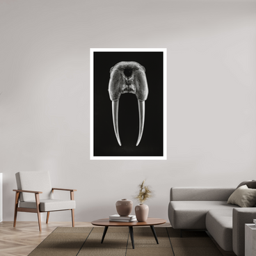 40 x 60″, XL + Exhibition Print DENTAL PLAN