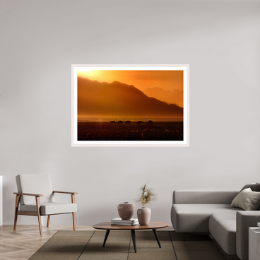 60 x 40″, Exhibition White Maple Frame + Border PROCESSION OF LIGHT