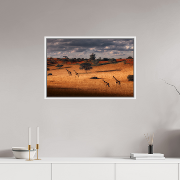 30 x 20″, L+XL White Floater Frame Symphony of Silence