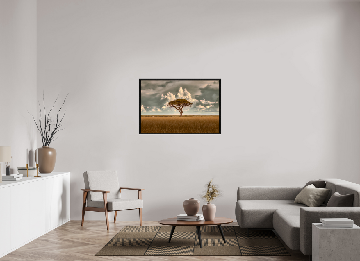 45 x 30″, L+XL Black Floater Frame Structured Chaos