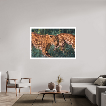 60 x 40″, XL + Exhibition Print UNTAMED OPULENCE