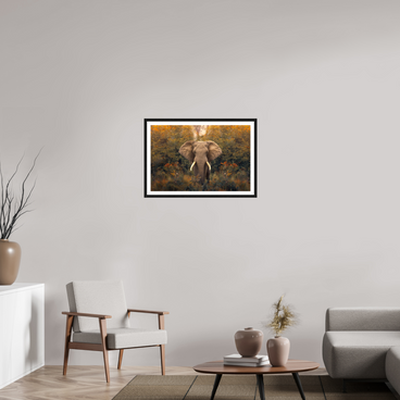30 x 20″, L+XL Black Frame + Border REVELATION