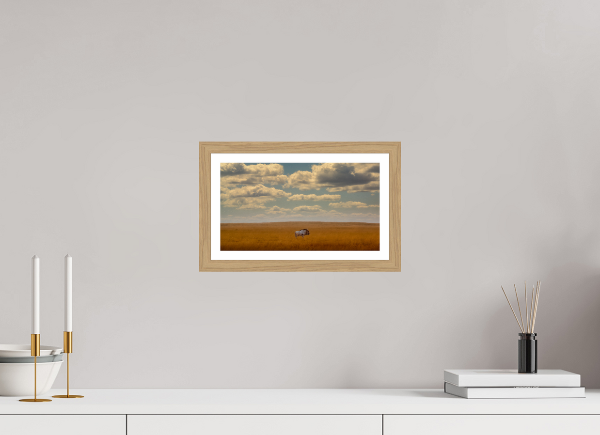 12 x 6.8″, S+M Oak Frame + Border FREEDOM OF EXPOSURE