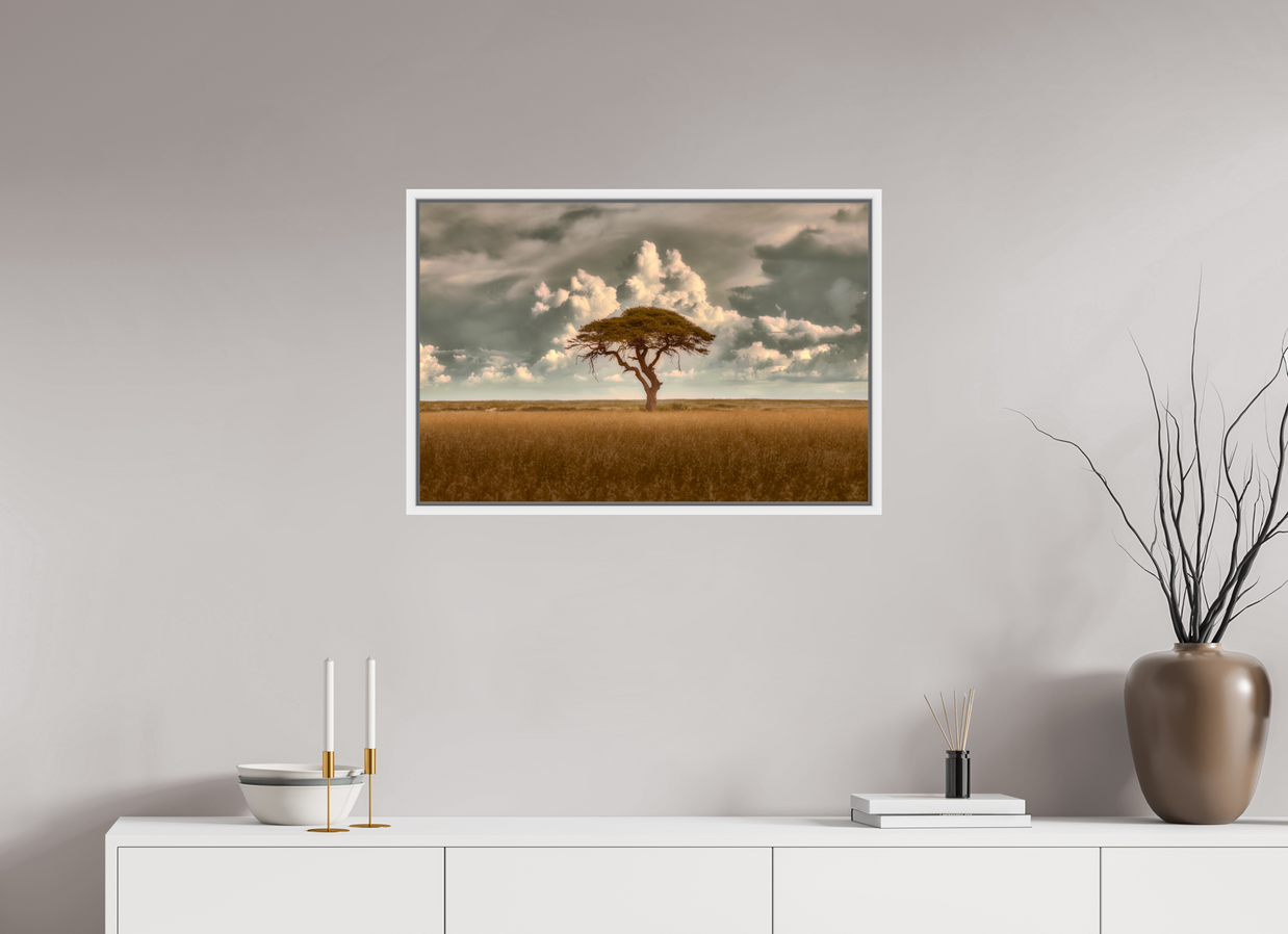 30 x 20″, L+XL White Floater Frame Structured Chaos
