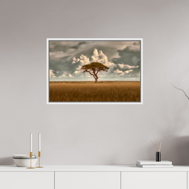 30 x 20″, L+XL White Floater Frame Structured Chaos