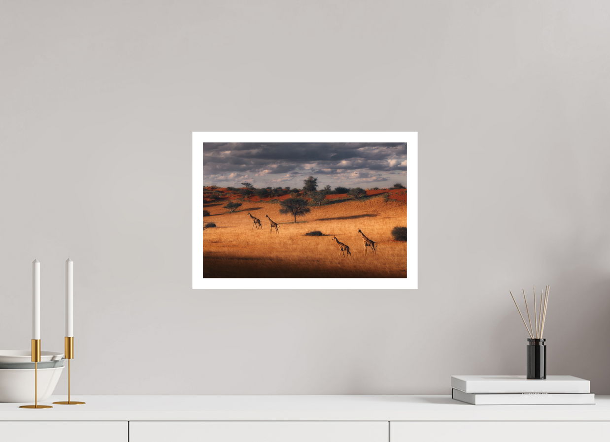 15 x 10″, M Print SYMPHONY OF SILENCE