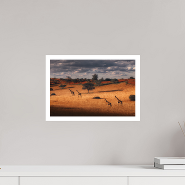 15 x 10″, M Print SYMPHONY OF SILENCE
