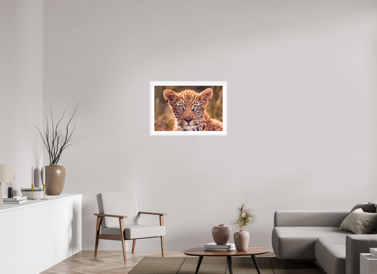 30 x 20″, L+XL White Frame + Border SEEN