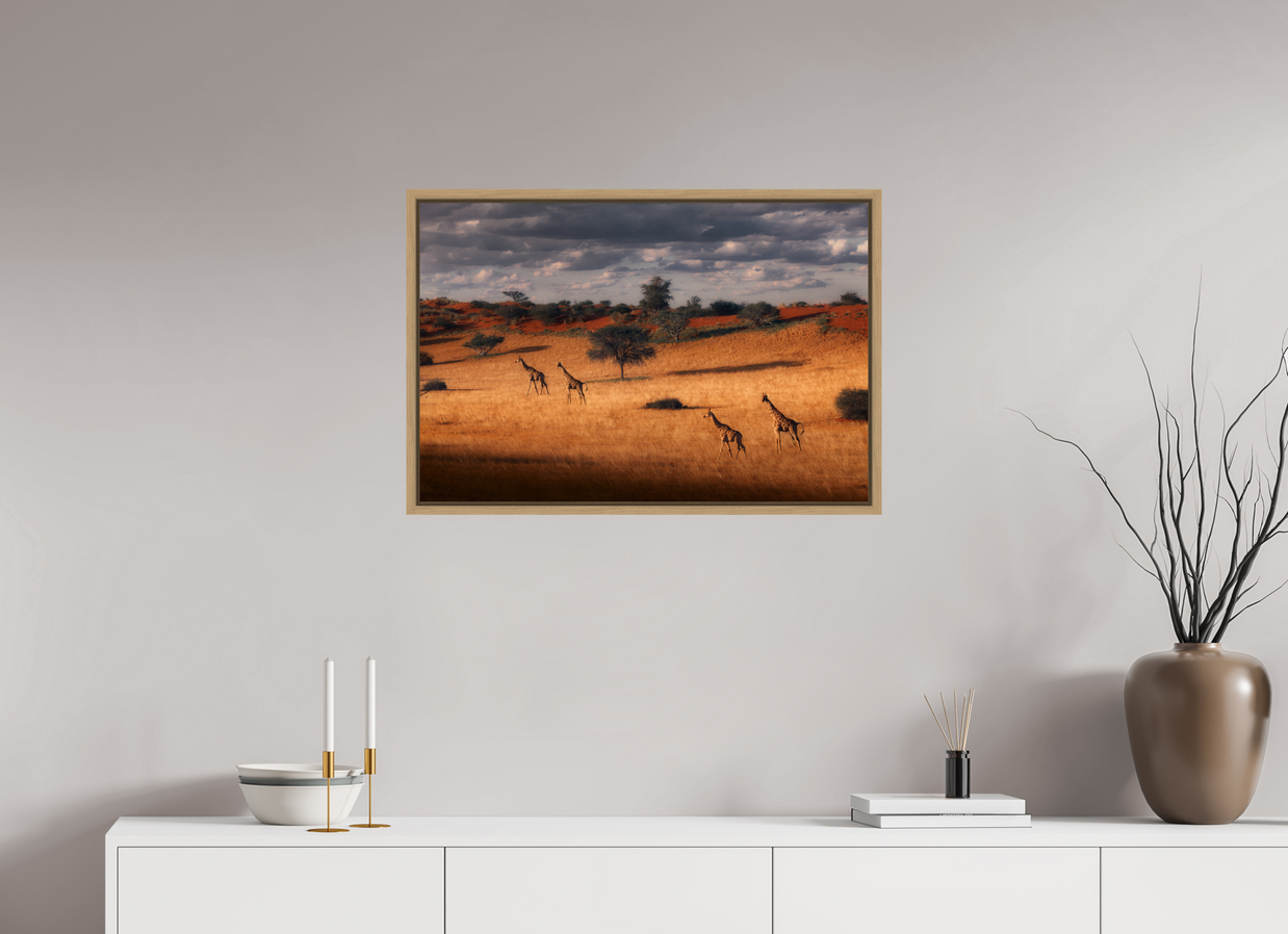 30 x 20″, L+XL Oak Floater Frame Symphony of Silence