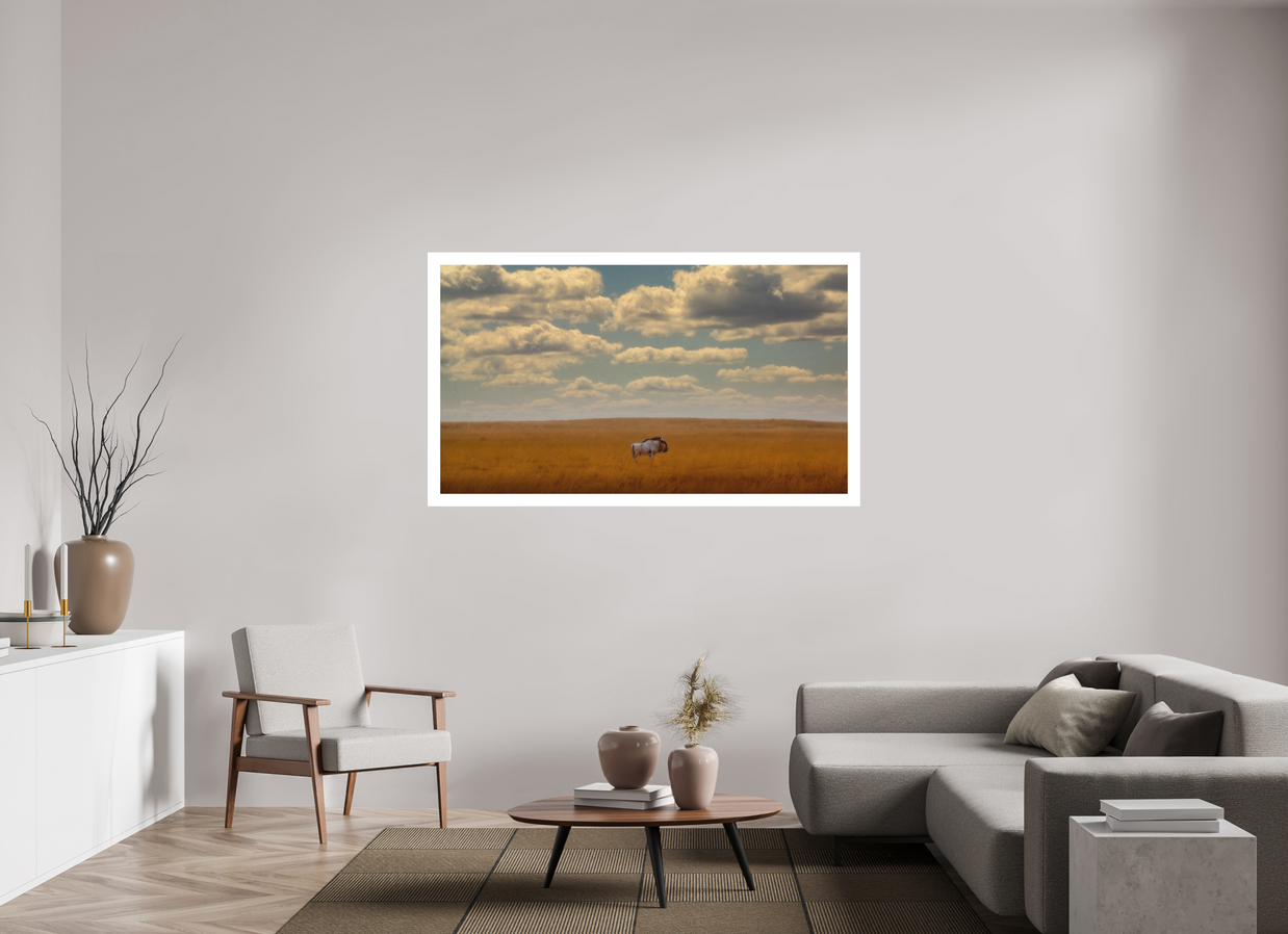 64 x 36″, XL + Exhibition Print FREEDOM OF EXPOSURE