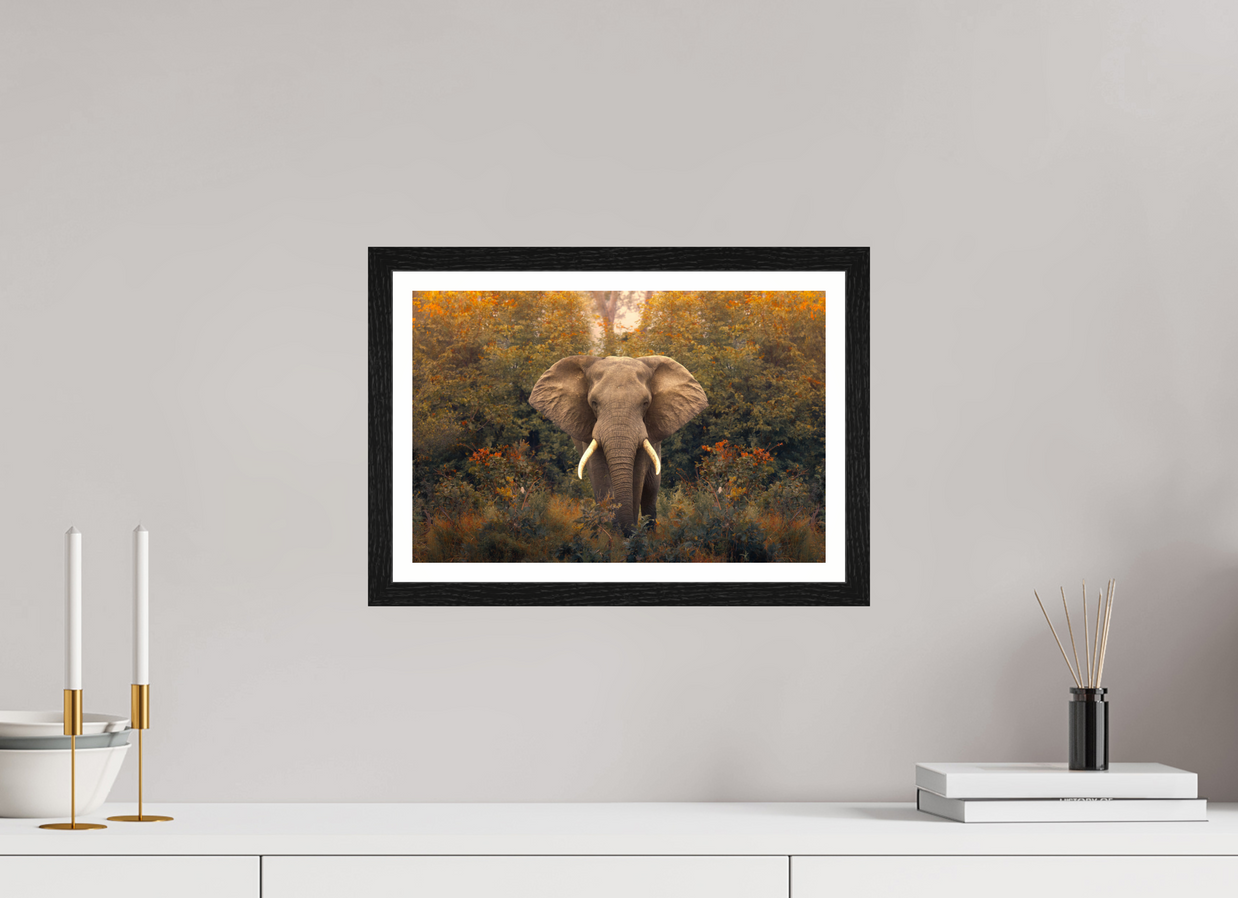 15 x 10″, S+M Black Frame + border REVELATION