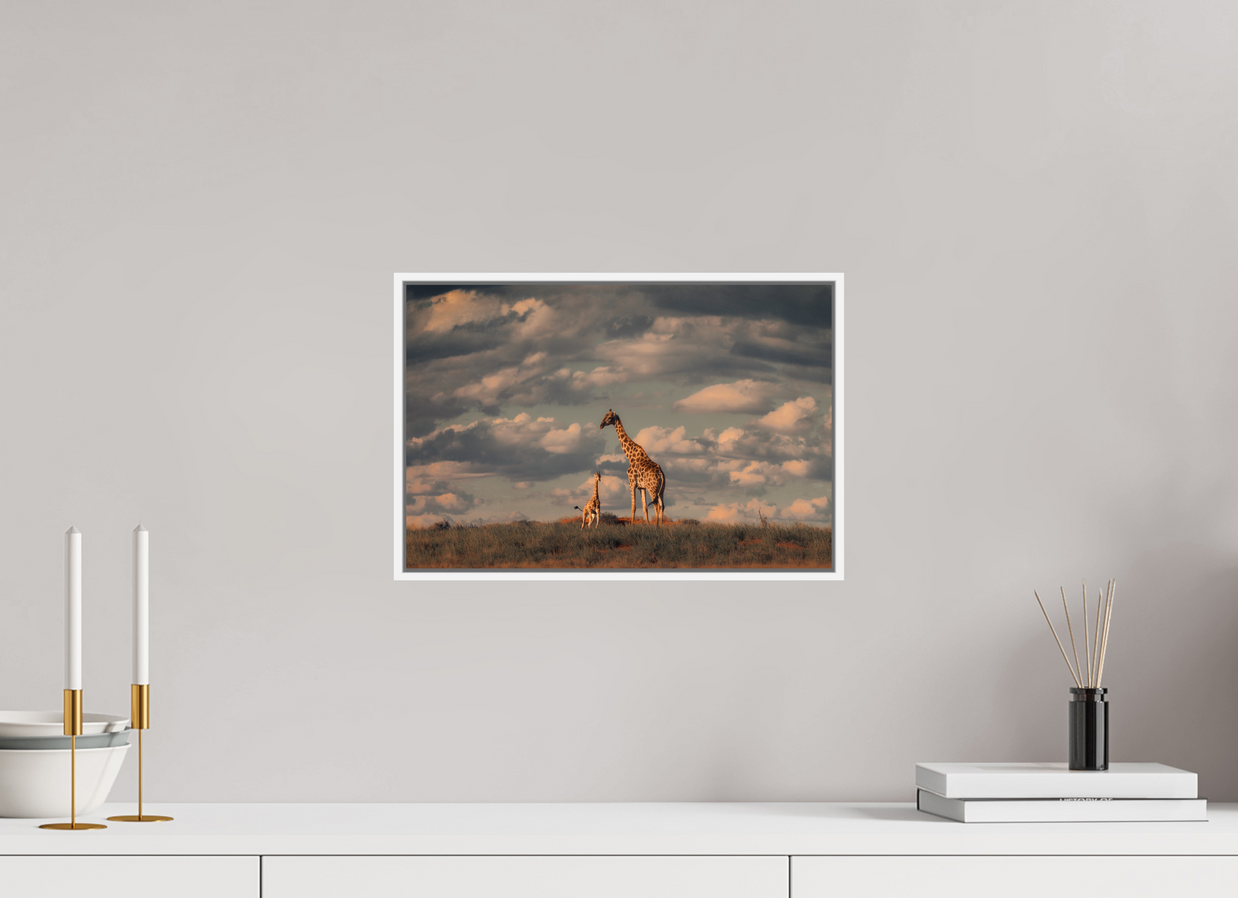 15 x 10″, S+M White Floater Frame Lineage