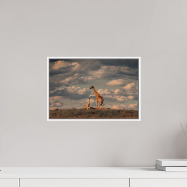 15 x 10″, S+M White Floater Frame Lineage
