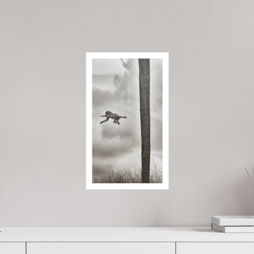 9 x 16″, M Print Beyond The Branch