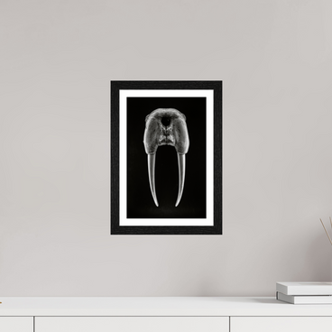 8 x 12″, S+M Black Frame + border DENTAL PLAN