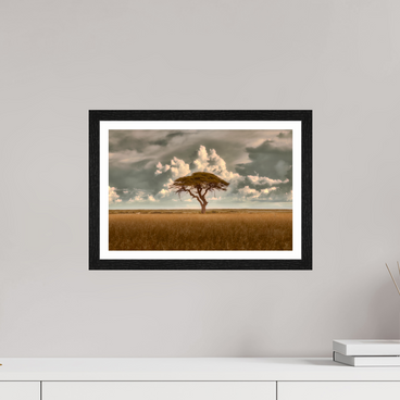 15 x 10″, S+M Black Frame + border STRUCTURED CHAOS