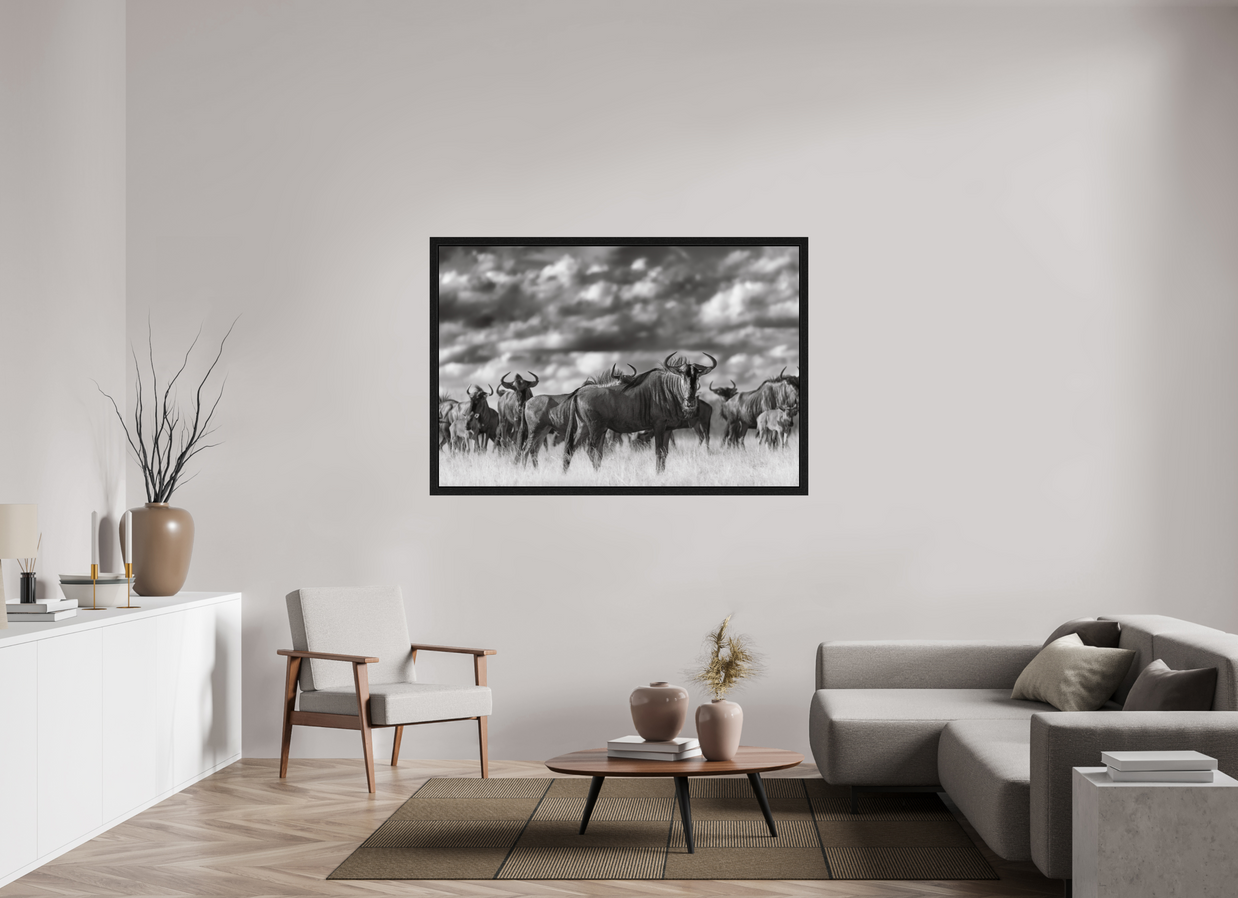 60 x 40″, Exhibition Black Floater Frame MYSELF IN THE MANY