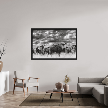 60 x 40″, Exhibition Black Floater Frame MYSELF IN THE MANY