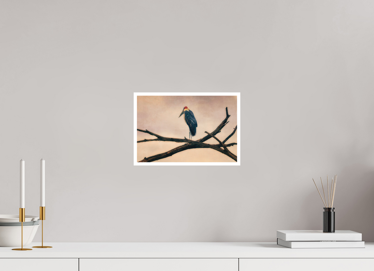 12 x 8″, S Print THE LAST WITNESS