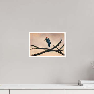 12 x 8″, S Print THE LAST WITNESS