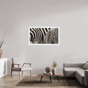 49 x 27.6″, L+XL White Frame + Border NOT THE SAME