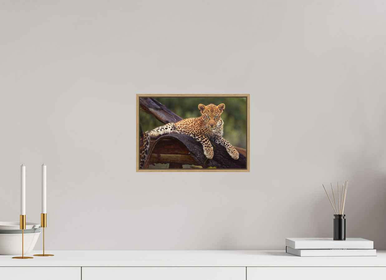 12 x 8″, S+M Oak Floater Frame Before Knowing