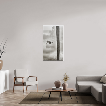 27.6 x 49″, L+XL White Floater Frame Beyond The Branch