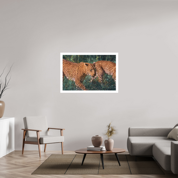 45 x 30″, XL + Exhibition Print UNTAMED OPULENCE