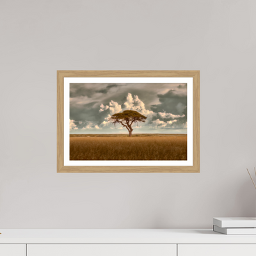15 x 10″, S+M Oak Frame + Border STRUCTURED CHAOS
