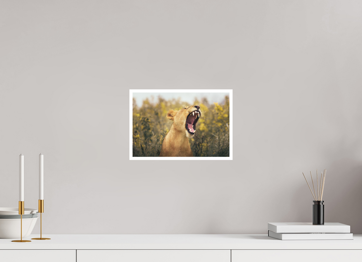 12 x 8″, S Print UNCONTAINED