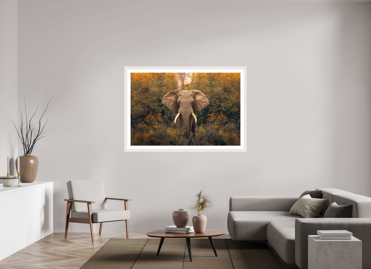 60 x 40″, Exhibition White Maple Frame + Border REVELATION