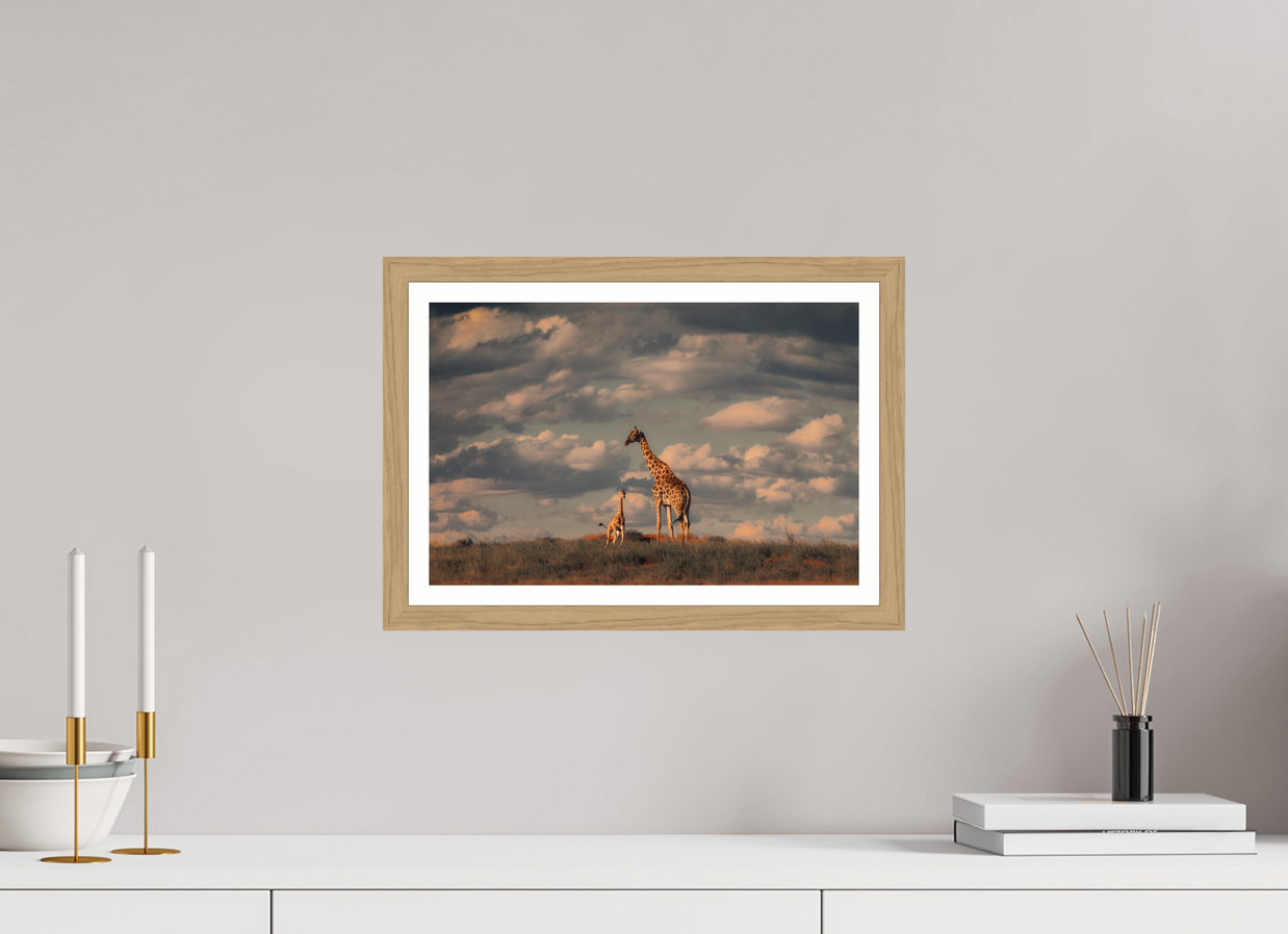 15 x 10″, S+M Oak Frame + Border LINEAGE