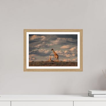 15 x 10″, S+M Oak Frame + Border LINEAGE