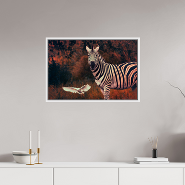 30 x 20″, L+XL White Floater Frame Passing Through