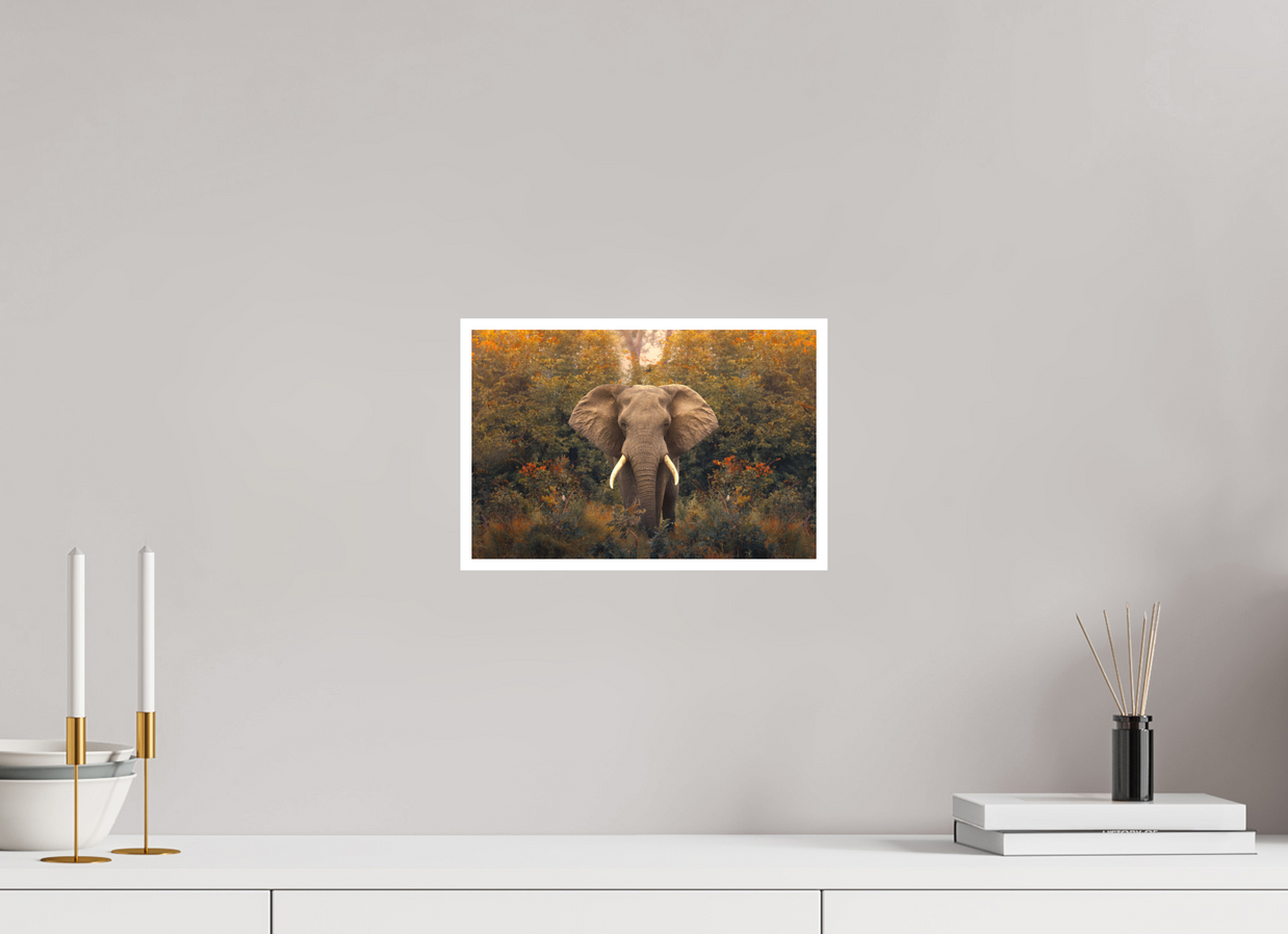 12 x 8″, S Print REVELATION