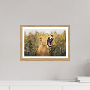 15 x 10″, S+M Oak Frame + Border UNCONTAINED
