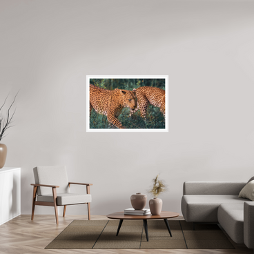 45 x 30″, L+XL White Frame + Border UNTAMED OPULENCE