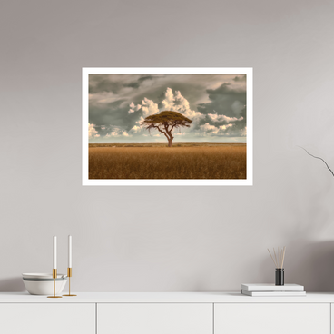 30 x 20″, L Print STRUCTURED CHAOS