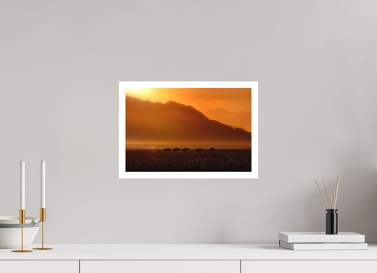 15 x 10″, M Print PROCESSION OF LIGHT
