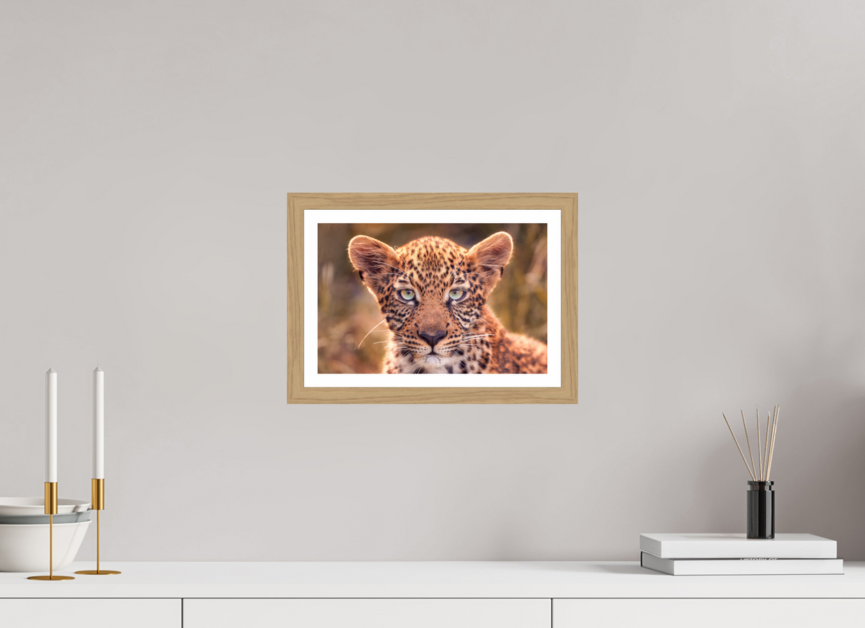 12 x 8″, S+M Oak Frame + Border SEEN