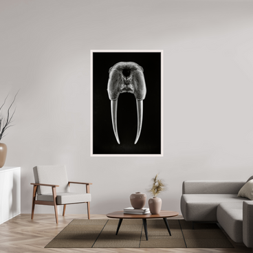 40 x 60″, Exhibition Maple White Floater Frame DENTAL PLAN