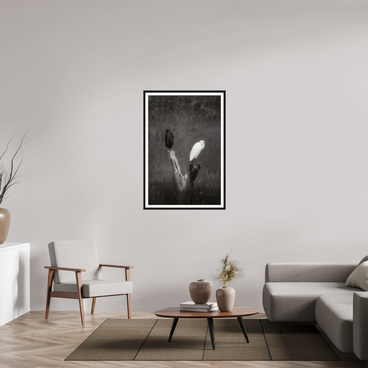 30 x 45″, L+XL Black Frame + Border TWO TRUTHS